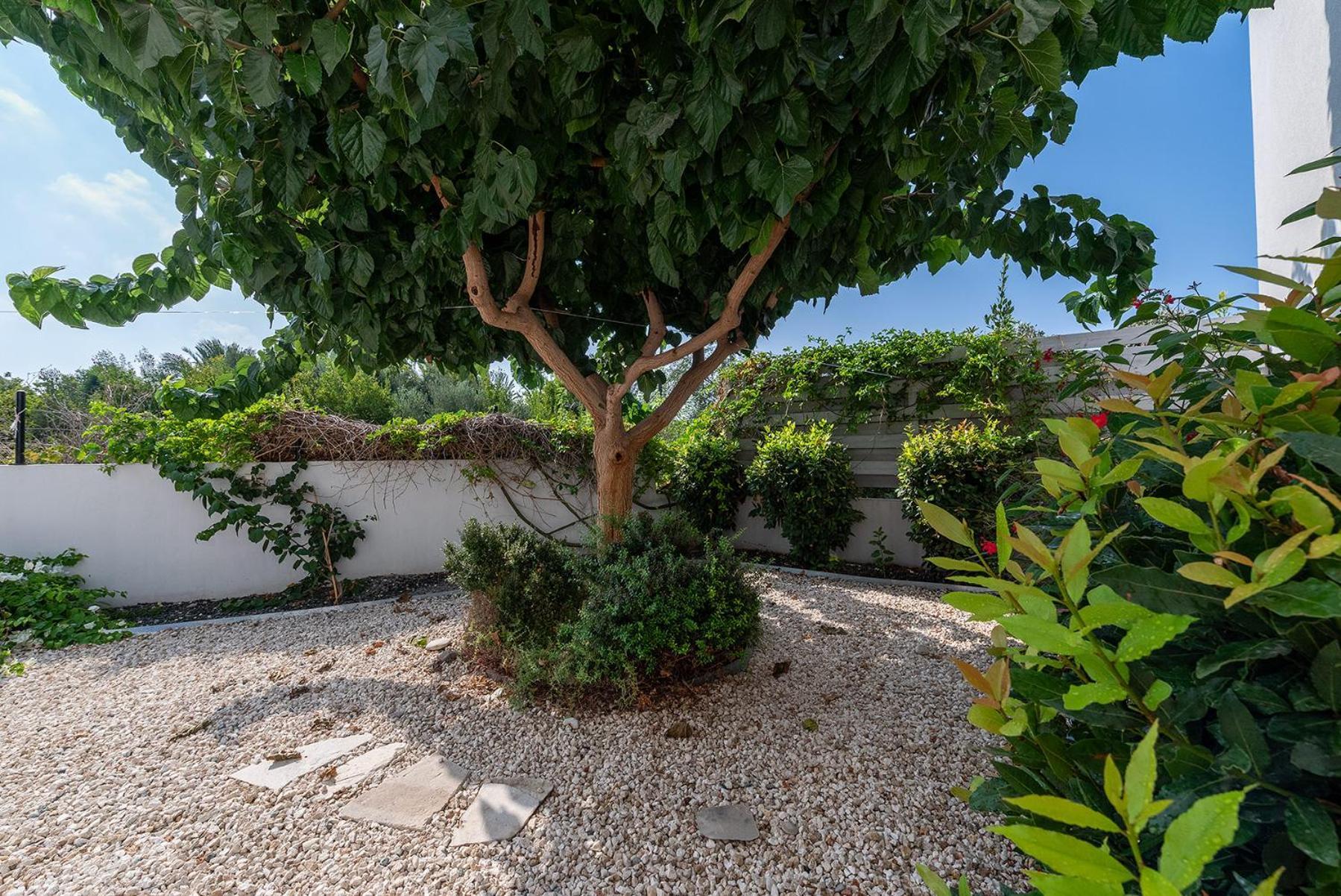 Blue Diamond Beach Villas Pafos Exterior foto
